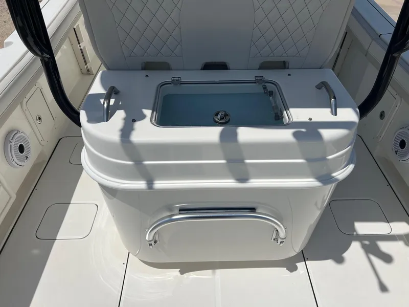 Slide: The Image of World Cat 295 CC 2024 - 37