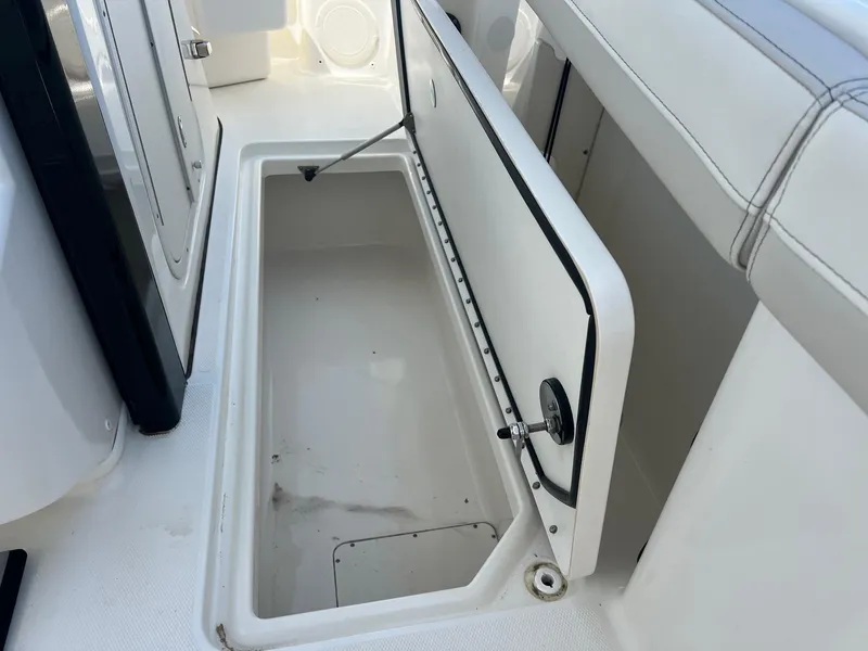 Slide: The Image of World Cat 295 CC 2024 - 40