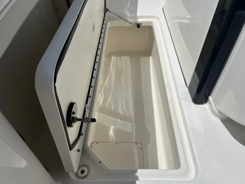 Slide: The Image of World Cat 295 CC 2024 - 42