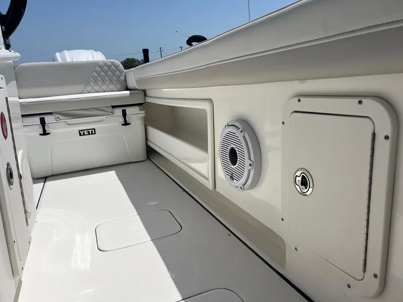 Slide: The Image of World Cat 295 CC 2024 - 44