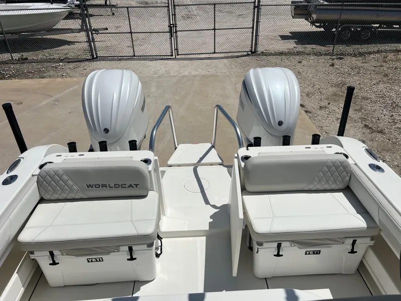 Slide: The Image of World Cat 295 CC 2024 - 45