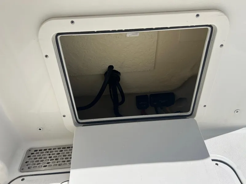 Slide: The Image of World Cat 295 CC 2024 - 48