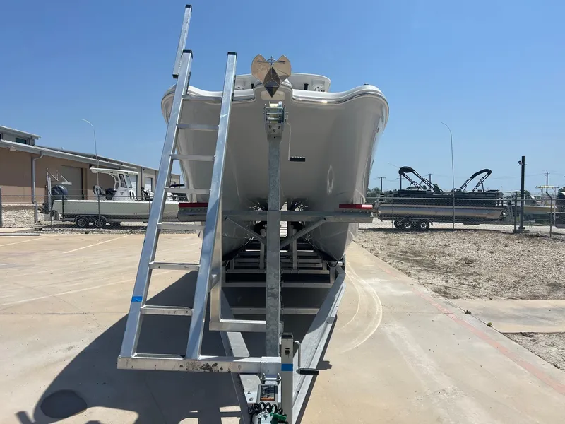 Slide: The Image of World Cat 295 CC 2024 - 5