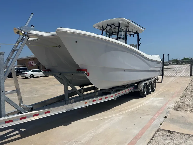 Slide: The Image of World Cat 295 CC 2024 - 6