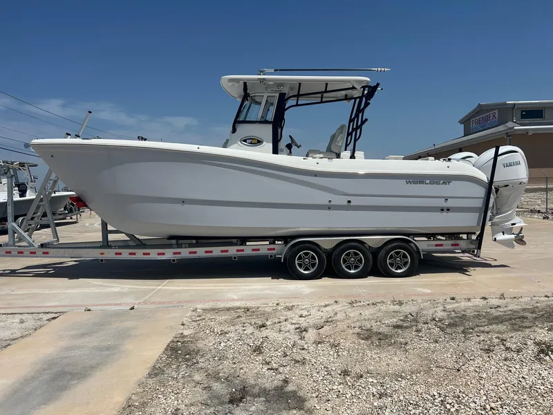 Slide: The Image of World Cat 295 CC 2024 - 7