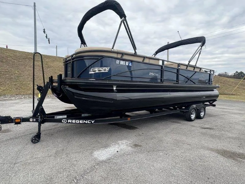 Slide: The Image of 2020 Regency 250 DL3 pontoon boat on trailer, parked outdoors under cloudy sky. - 23