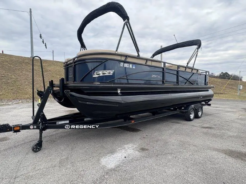 Slide: The Image of 2020 Regency 250 DL3 pontoon boat on trailer, parked outdoors under cloudy sky. - 38