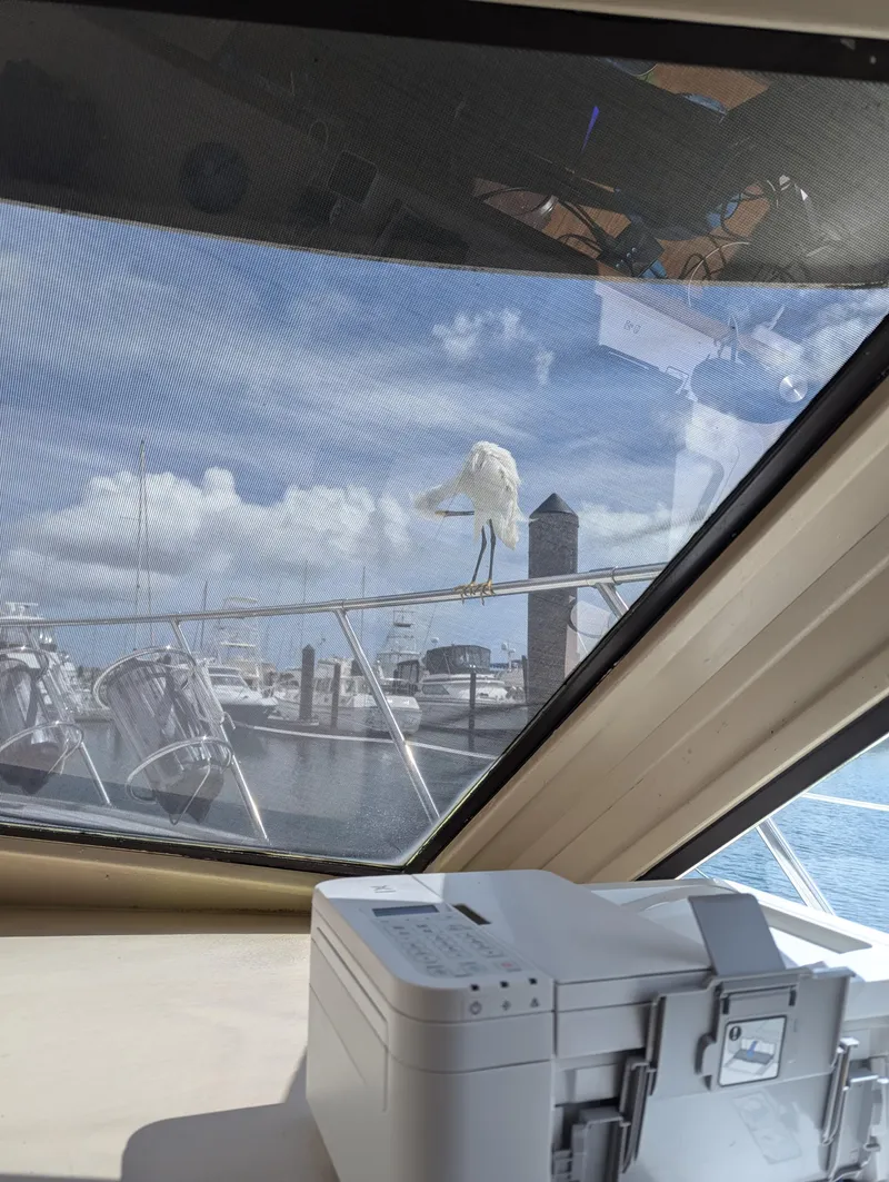 Slide: The Image of View from inside a 1996 Hatteras 42 Cockpit MY, featuring a bird on the railing. - 31