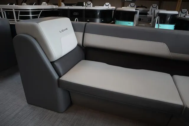 Slide: The Image of Lowe LS 210 2025 - 7