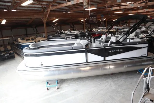 Slide: The Image of Lowe LS 230 WT 2025 - 4