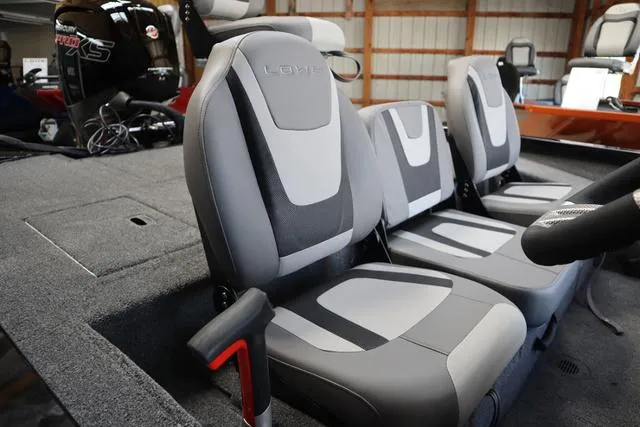 Slide: The Image of Lowe Stinger 195 C 2025 - 6