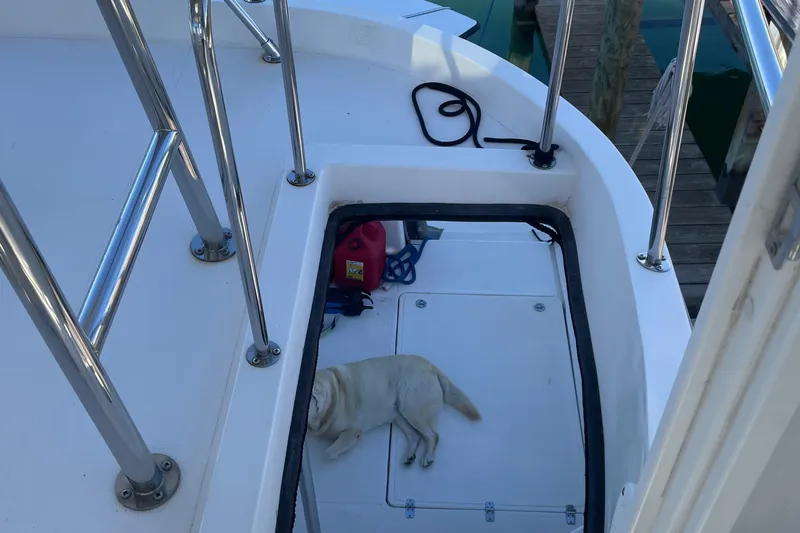 Slide: The Image of A dog resting on a 2004 Endeavour Explorer 46 PowerCat deck. - 34