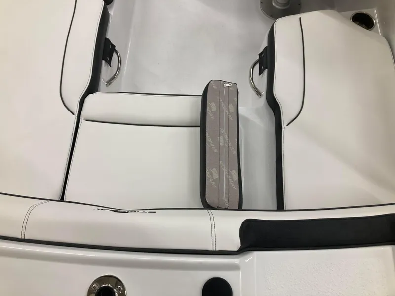 Slide: The Image of Stingray 172 DC 2025 - 3