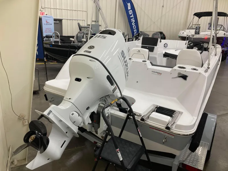 Slide: The Image of Stingray 172 DC 2025 - 9