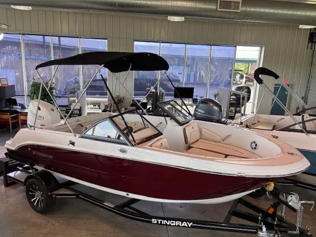 Slide: The Image of Stingray 172 DC 2025 - 1