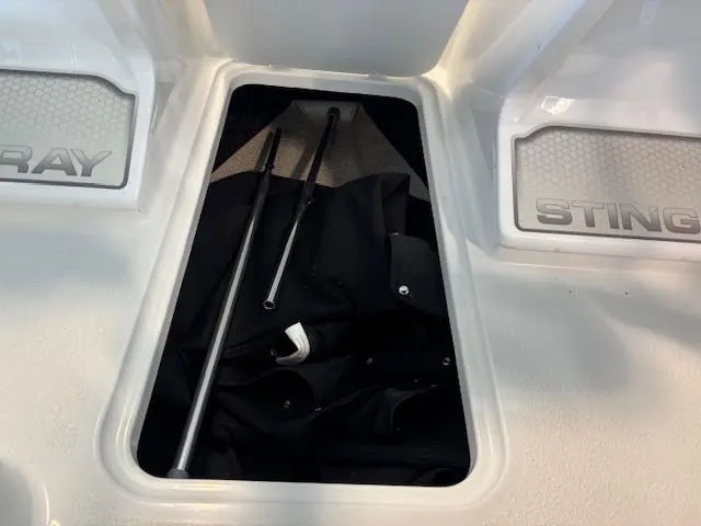 Slide: The Image of Stingray 172 DC 2025 - 11