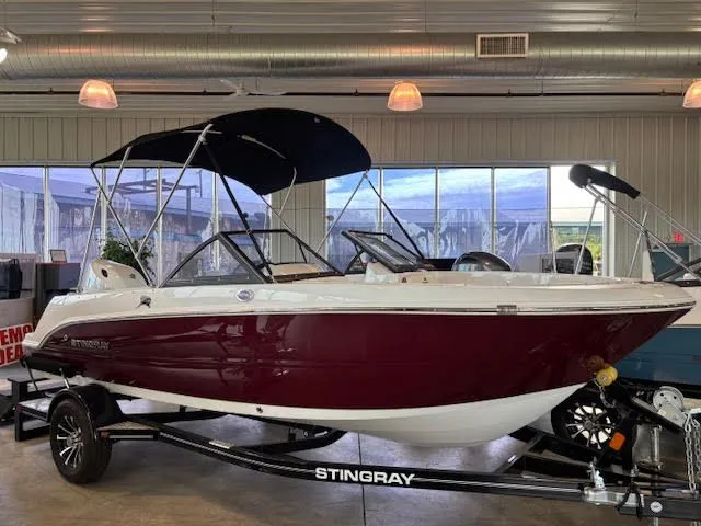 Slide: The Image of Stingray 172 DC 2025 - 2