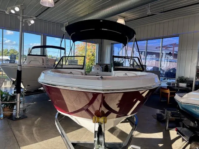 Slide: The Image of Stingray 172 DC 2025 - 3