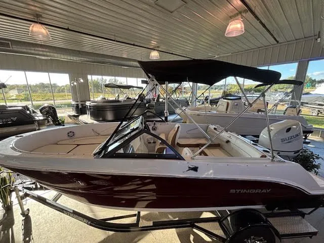 Slide: The Image of Stingray 172 DC 2025 - 4