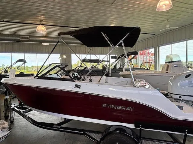 Slide: The Image of Stingray 172 DC 2025 - 5