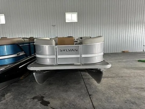 Slide: The Image of Sylvan Mirage 8522 Party Fish 2024 - 10