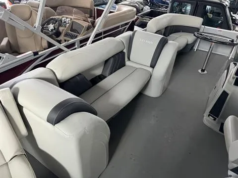 Slide: The Image of Sylvan Mirage 8522 Party Fish 2024 - 16