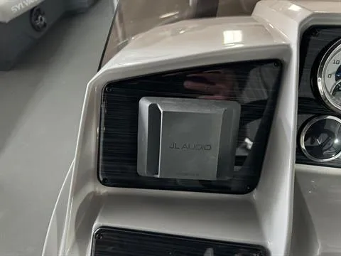 Slide: The Image of Sylvan Mirage 8522 Party Fish 2024 - 19