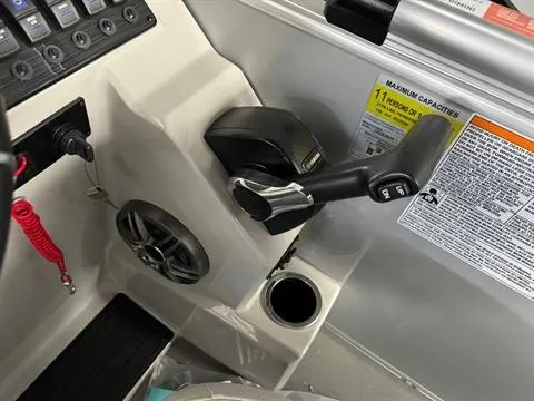 Slide: The Image of Sylvan Mirage 8522 Party Fish 2024 - 22