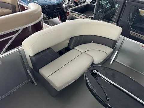 Slide: The Image of Sylvan Mirage 8522 Party Fish 2024 - 24