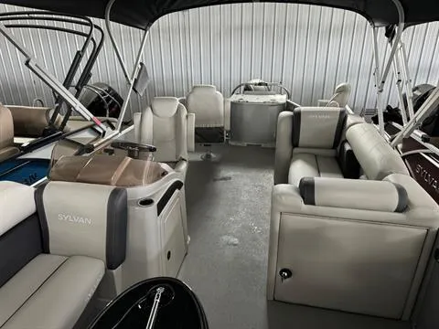 Slide: The Image of Sylvan Mirage 8522 Party Fish 2024 - 25