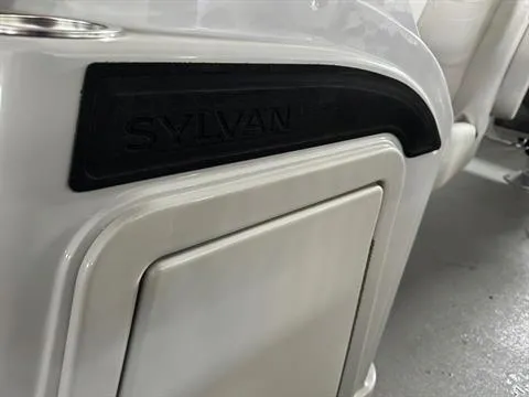 Slide: The Image of Sylvan Mirage 8522 Party Fish 2024 - 26