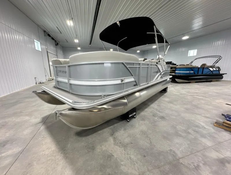 Slide: The Image of Sylvan Mirage 8522 Party Fish 2024 - 3