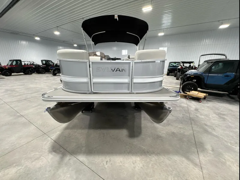 Slide: The Image of Sylvan Mirage 8522 Party Fish 2024 - 4