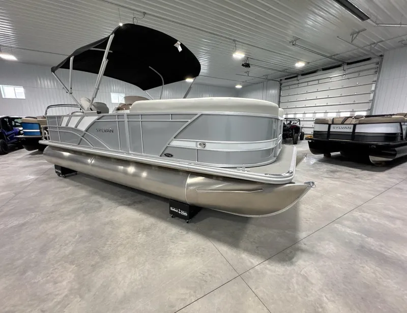 Slide: The Image of Sylvan Mirage 8522 Party Fish 2024 - 5