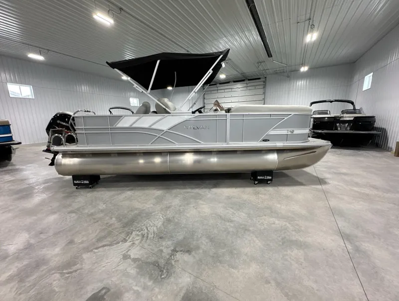 Slide: The Image of Sylvan Mirage 8522 Party Fish 2024 - 6