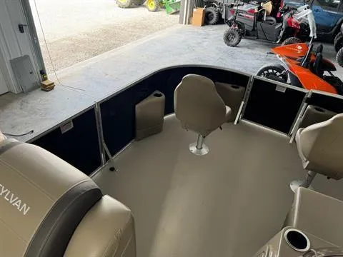 Slide: The Image of Sylvan Mirage 818 Fish 2024 - 14