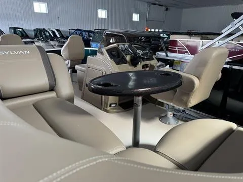 Slide: The Image of Sylvan Mirage 818 Fish 2024 - 19