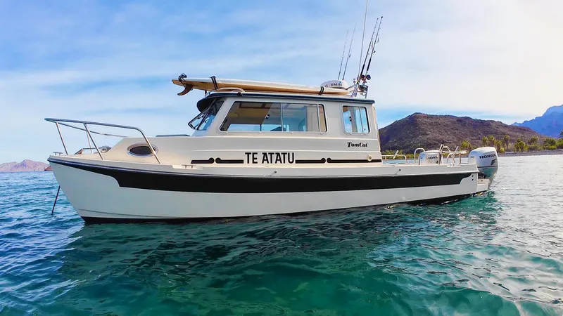 Slide: The Image of 2009 C-Dory TOMCAT 255 boat on clear water with mountainous backdrop. - 65