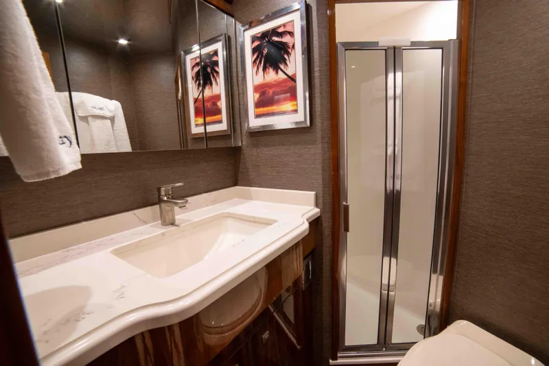 Slide: The Image of Viking 72 Enclosed Bridge 2019 - 69