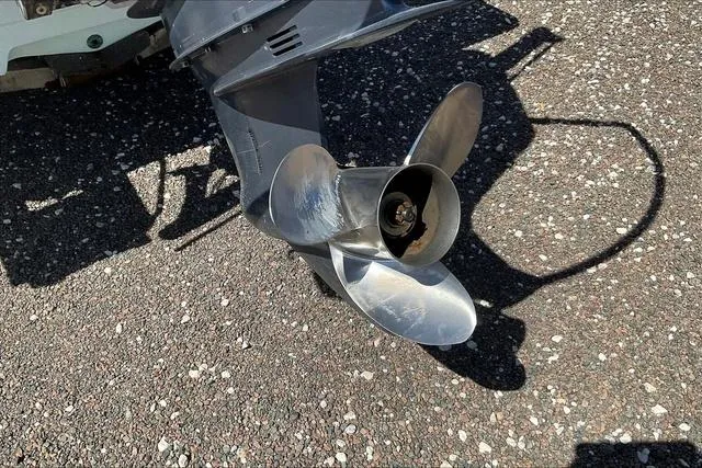 Slide: The Image of Sportsman Masters 247 Bay Boat 2021 - 29