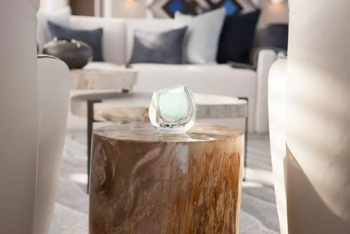 Slide: The Image of Salon - 6