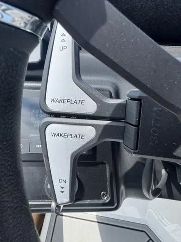 Slide: The Image of Moomba Tykon 2025 - 4