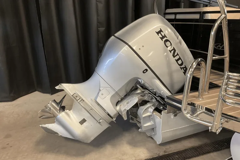 Slide: The Image of Harris Solstice 220 2016 - 6