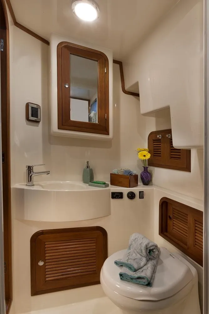 Slide: The Image of Luxurious bathroom in 2026 Helmsman Trawlers 43E Pilothouse with modern fixtures and wooden accents. - 38