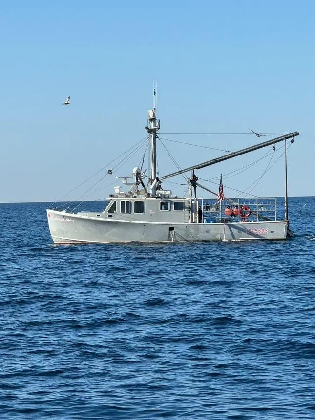 Slide: The Image of Wesmac 2015 commercial fishing vessel on open sea under clear blue sky. - 3
