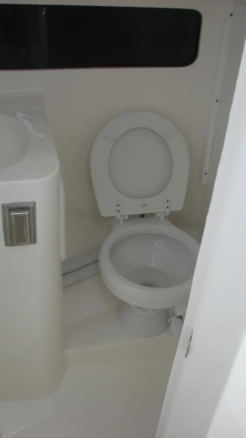 Slide: The Image of Electric Head - 18