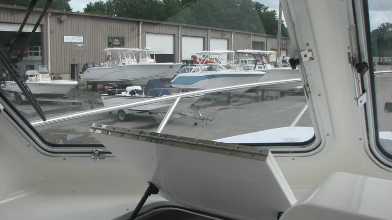 Slide: The Image of Companion View - 20