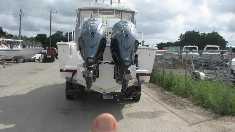 Slide: The Image of Tramson - 3