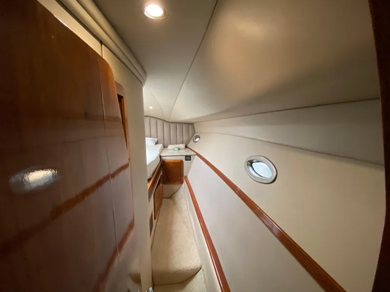 Slide: The Image of Mares 58 Power Cat 1995 - 60