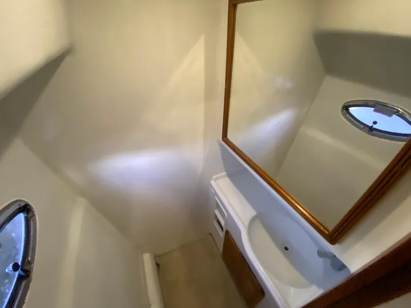 Slide: The Image of Mares 58 Power Cat 1995 - 70